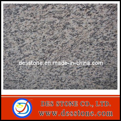 Natrural Stone Tiger Skin Red Granite Slab, Tile (DES-GT041)