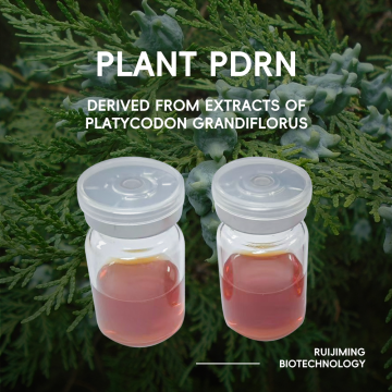 Plant PDRN--Derived from extracts of Platycodon grandiflorus