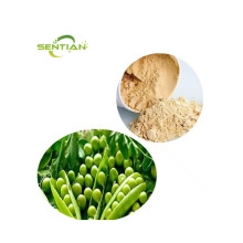 Pea Protein Isolate Pea Protein Powder