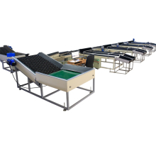 Citrus Fruit Sorting Machine