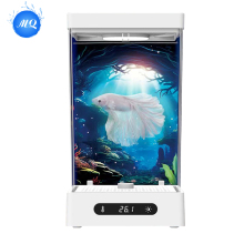 Stylish Small Fish Tank for Indoor Decor