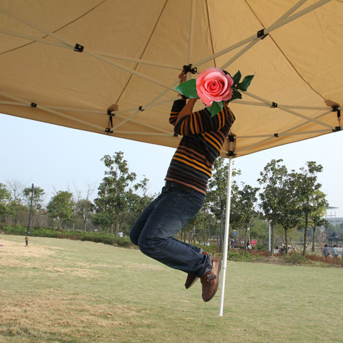 Pop Up Gazebo Canopy Cover Shelter