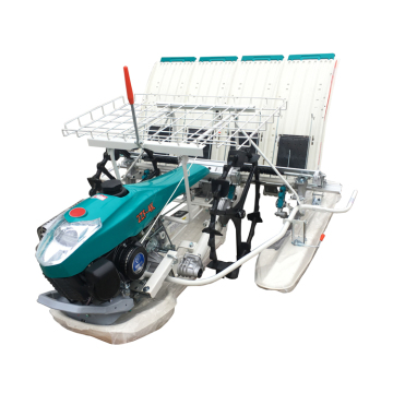 Agro Machinery 4 Rows Hand Operation Paddy Rice Transplanter for Sale