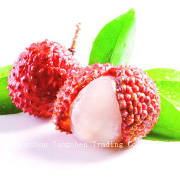 Canned Tropical Fruits Canned Lychee