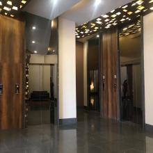 Safety Gear for Elevator and Lift Passengers