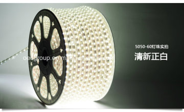 White Color Flexible LED Noen Lighting