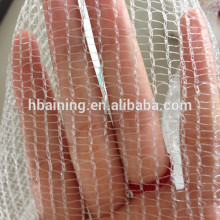 Apple tree anti hail net