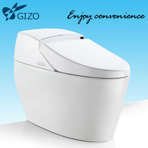 Hot Sell Fashion Design Full Automatic Toilet Bowl