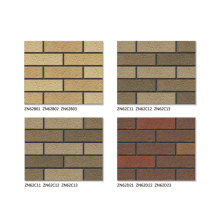Exterior thin brick veneer sizes 6x20cm