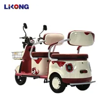 High-Standard Adult Electric Trikes: Three-Wheel Electric Tricycles and Motorcycles