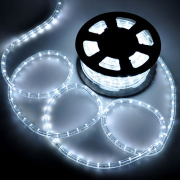 Best selling led flashing rope light wholesale online