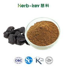 Rehmannia root extract powder