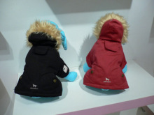winter pet clothes
