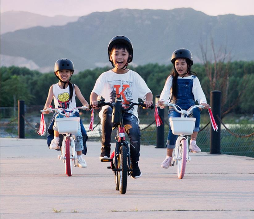 Ninebot Children Bike