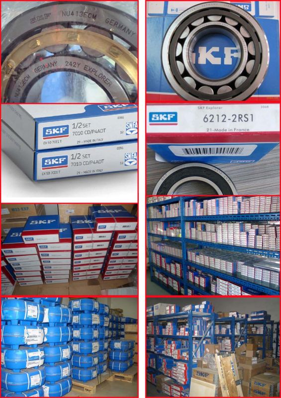 SKF Cylindrical Roller Bearing (NU2306ECM--NU2330ECM)