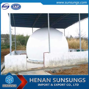 China supplier biogas holder for biogas generator project