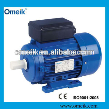 Single phase induction motor