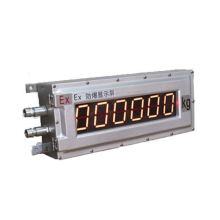 Explosion Proof Intelligent Weighing Indicator: Automation & Digital Solutions
