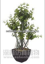 artificial fashional BEGONIA(begonia) tree/plants