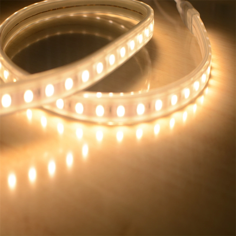 AC120 230V Υψηλή Lumen SMD5050 LED Strips με CE ROHS Cetificate