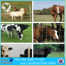 cheap field fence/ cattle fence/farm fence