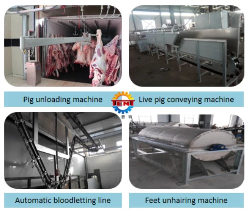 Hog Swine Pig Slaughter House Equipment Pork Meat Process Line