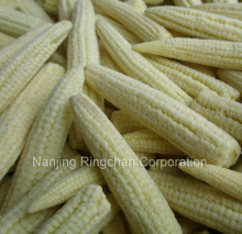 Frozen Vegetables Frozen Baby Corn Frozen Young Corn