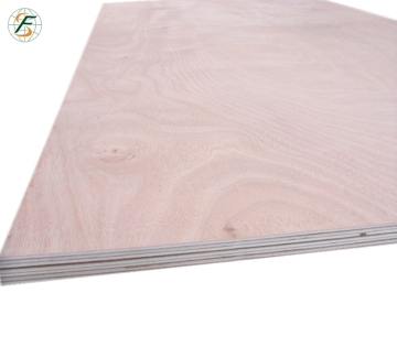 24mm Commercial Okoume Plywood