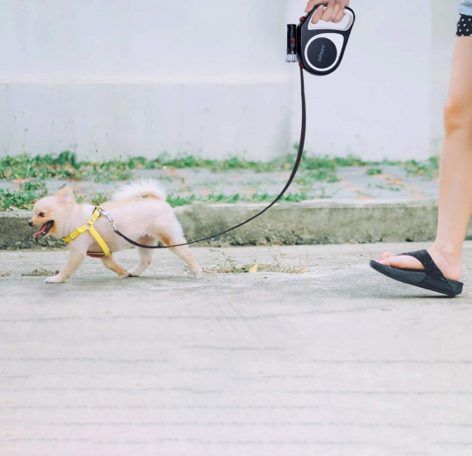 Retractable Long Dog Leash