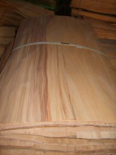0.25mm Rotary cut Beech for pannel
