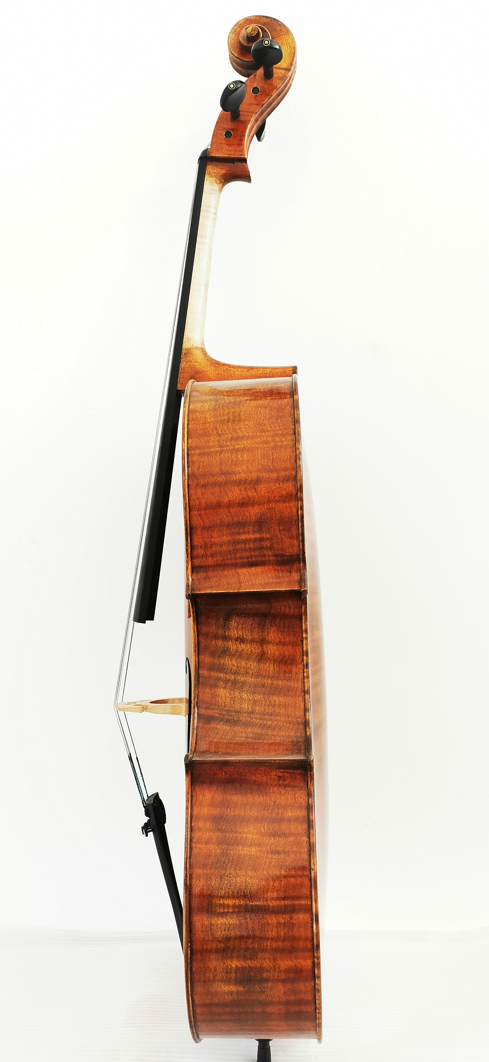 Cello-JM-COA-23-3