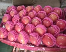 Red Skin Fuji Apples