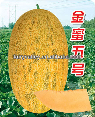 Hybrid F1 Yellow Sweet Hami Melon Seeds Cantaloupe Seeds-Golden Honey No.5