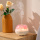 Flower fragrance oil Aroma Diffuser aromatherapy