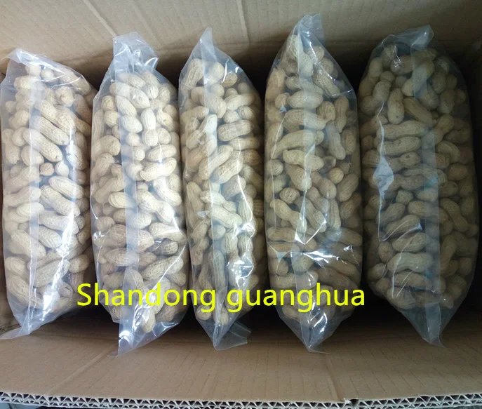 2020 New Crop Factory High Quality Peanut in Shell