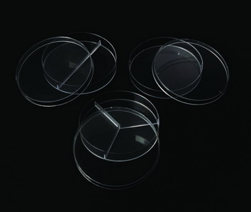 Petri Dish