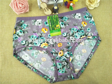 5667 briefs girl sexy undergarment sexy lingerie underwear