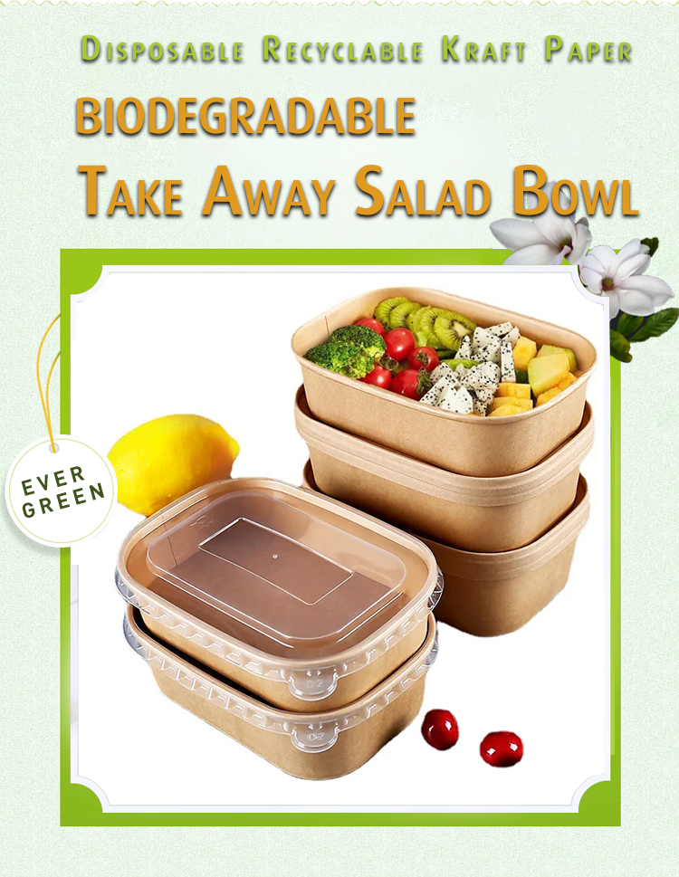  Disposable Bento Containers