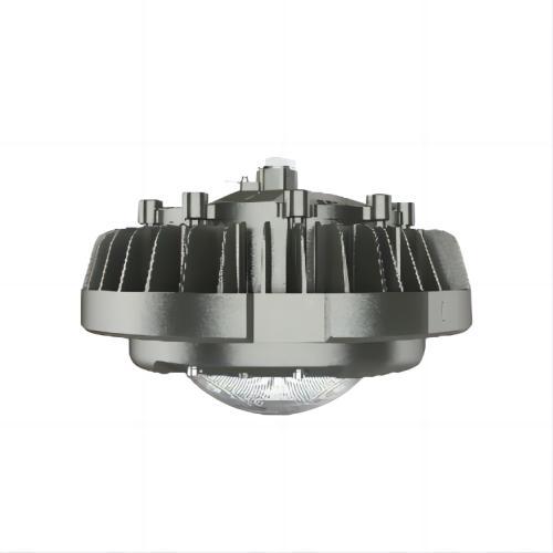 IP66 Grade Explosion Work Light