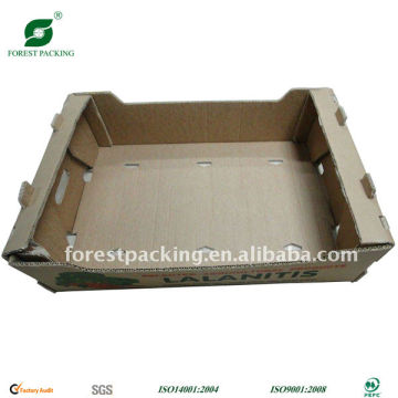 FRUIT CARTON TRAY