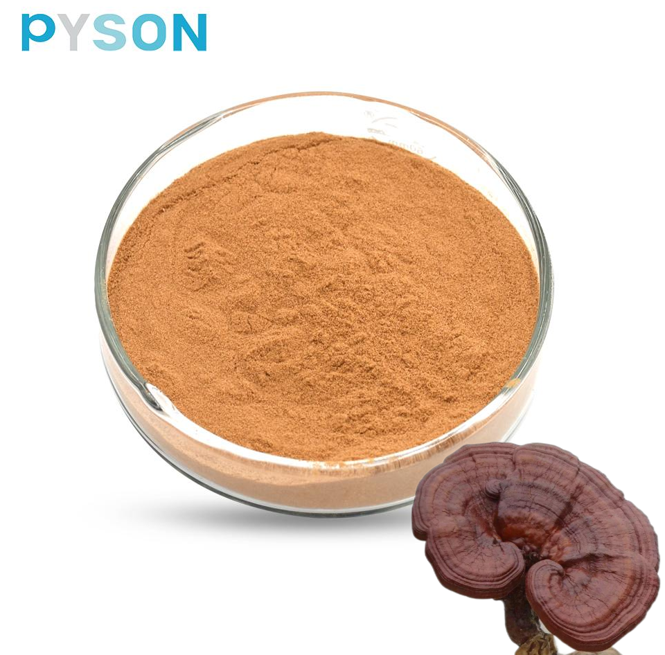 Reishi Extract