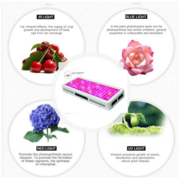 200W LED Grow Light untuk Hydroponics dengan Switch