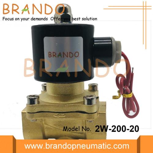 2W-200-20 Su Solenoid Valfı