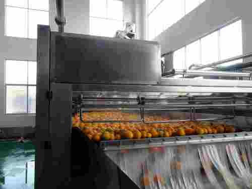 5t/H Citrus Juice Production Line