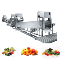 XYXC-C11 Industrial processing equipment vegetable washing line