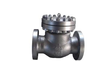 cs/ss flange type check valve