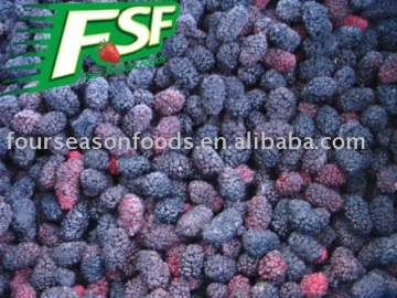 New Season frozen mulberry