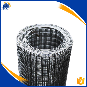best price electro galvanized welded wire mesh