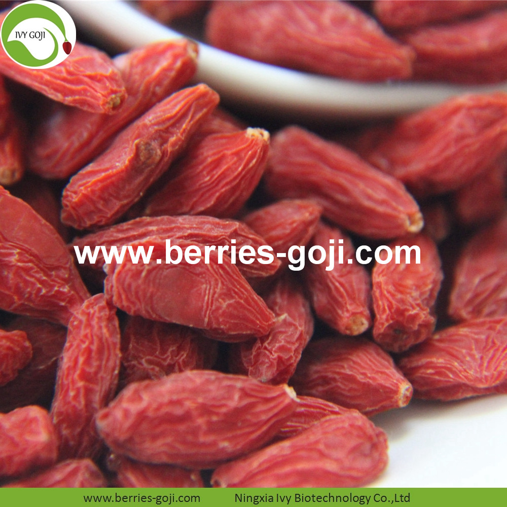 Eu Standard Goji Berry