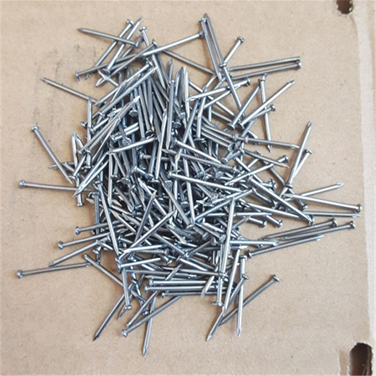 common iron nail 